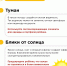🚔🚔 Безопасное дорожное движение: повторяем правила с детьми - Armizon72.Ru