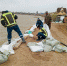 Обстановка на дамбах в селе Казанское стабильная. За сутки уровень воды снизился на 7 см. - Armizon72.Ru