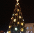 🎄Сегодня, 6 января, последний день голосования за елку, которая представит регион во Всероссийском конкурсе "Елки России" - Armizon72.Ru